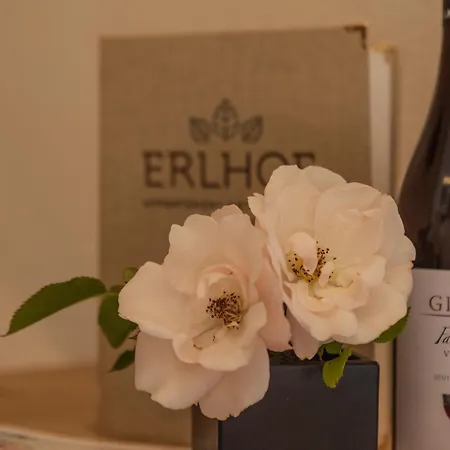 Erlhof Deluxe Апарт-отель 3*